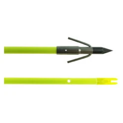 Classic Chartreuse Fish Arrow With Carp Point By Muzzy